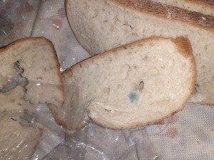 A101 Marketten Aldığım Ekmek Küflenmiş Bir Şekildeydi