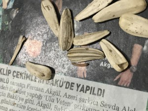 Bim Simpat Aldığım Çekirdeğin İçinden Kurt Çıktı Resimlerini Dahi Çektim