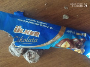 Ülker Bozuk