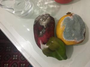Arçelik Buzdolabı