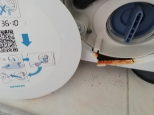 Siemens Pişmanlık