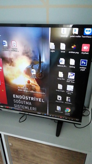 Vestel Televizyon