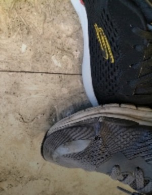 Skechers Yırtılma