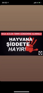 Dilek