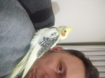 Mert
